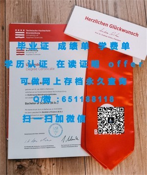 范德比尔特大学官方成绩单揭秘