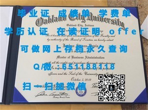 荷兰伊拉斯姆斯大学国际学位证书揭秘