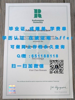 荷兰屯特大学学位证书揭秘