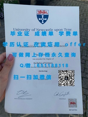 荷兰鹿特丹商学院学位证书揭秘