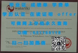 莱斯特大学官方成绩单深度解析