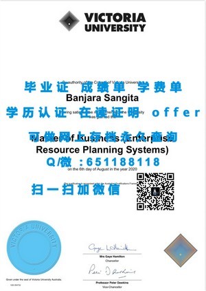 萨尔大学学位证书揭秘