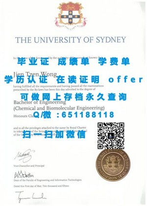 萨尔茨堡大学毕业证书揭秘