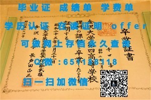 里丁大学官方成绩单解析