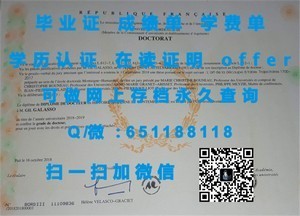 香港大学学位证书揭秘