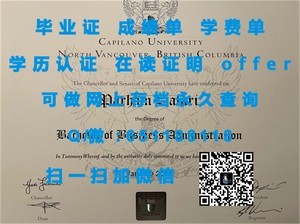 香港大学官方成绩单揭秘