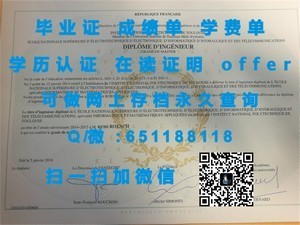 马赛精英教育，探寻马赛三大文凭的独特魅力
