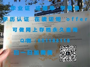 马赛足球俱乐部三大成绩单解析