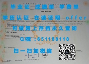 驹泽大学官方成绩单解析与获取指南