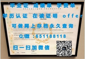 麻省大学医学院学位证书揭秘