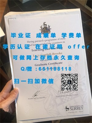 麻省理工学院官方成绩单揭秘