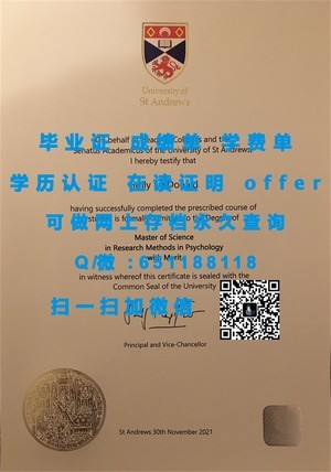 MIT高才生毕业证，智慧与荣誉的象征